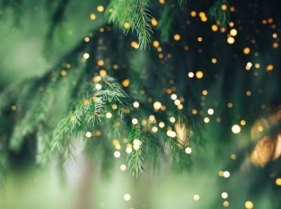 Bildnachweis: Adobe Stock #372953356 von Anastassiya